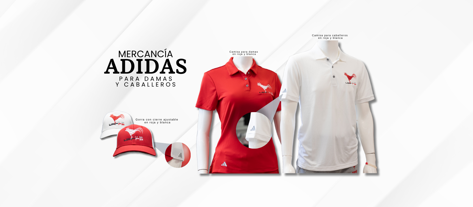 Productos ADIDAS: Exclusivo en nuestra tienda virtual