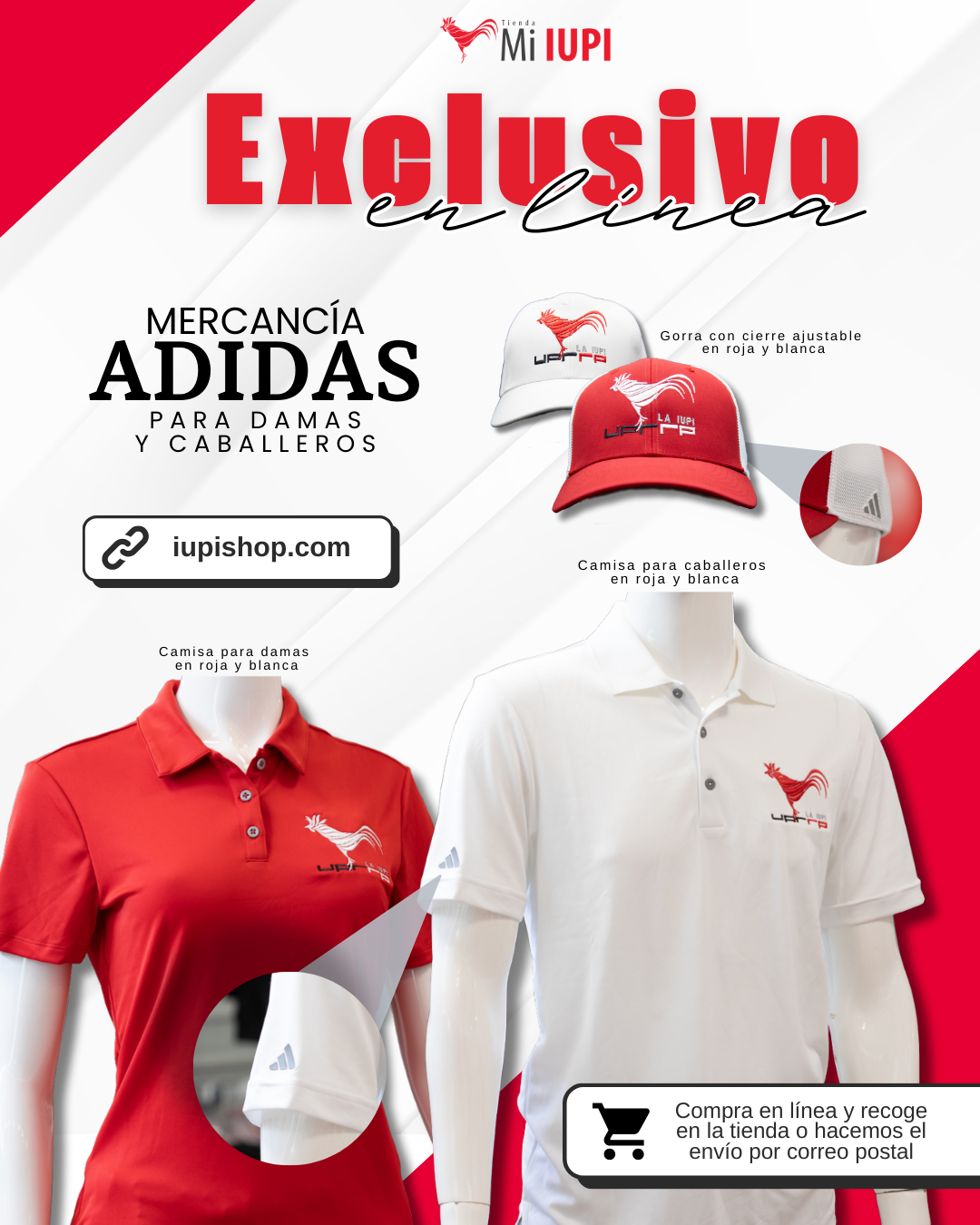 Productos ADIDAS: Exclusivo en nuestra tienda virtual